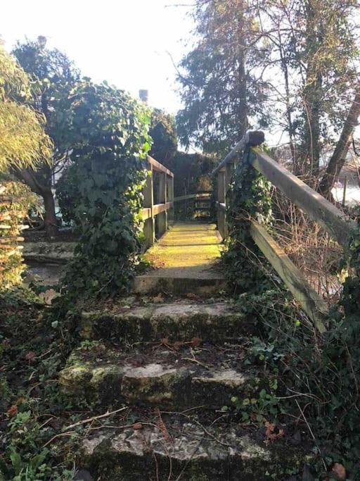 Eco-Friendly Dorset Cottage With Spa Set In Heart Of Countryside Sydling St Nicholas Dış mekan fotoğraf