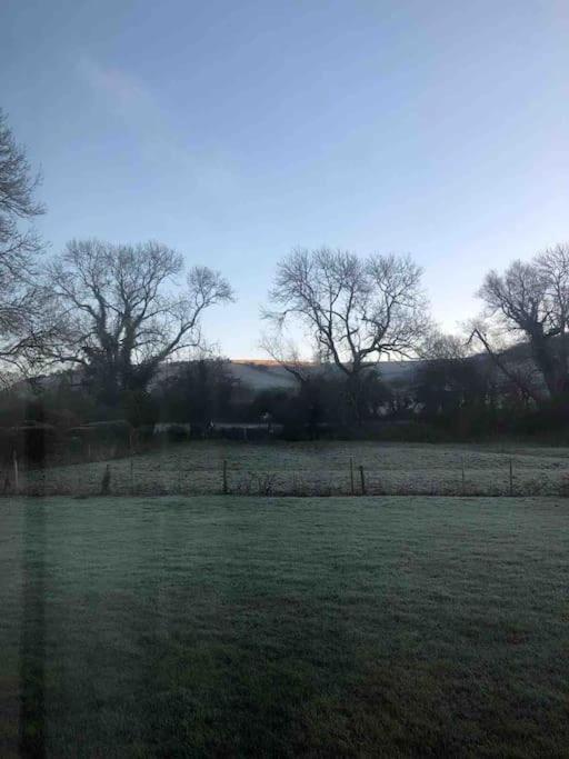 Eco-Friendly Dorset Cottage With Spa Set In Heart Of Countryside Sydling St Nicholas Dış mekan fotoğraf